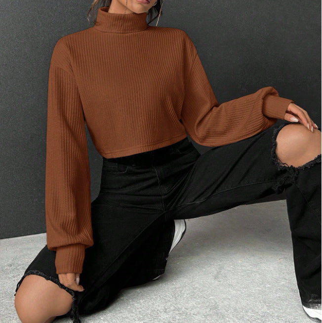 "Pull Col Montant Casual à Manches Longues Uni"
