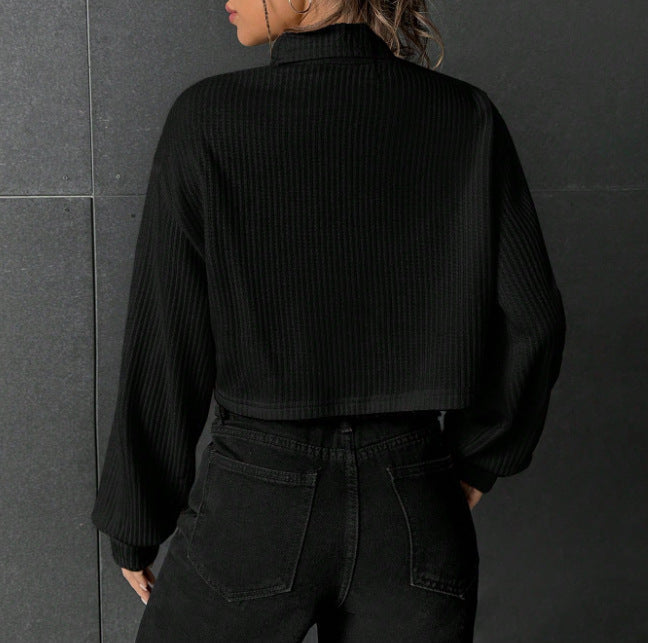 "Pull Col Montant Casual à Manches Longues Uni"
