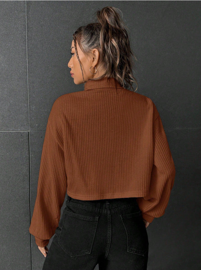 "Pull Col Montant Casual à Manches Longues Uni"