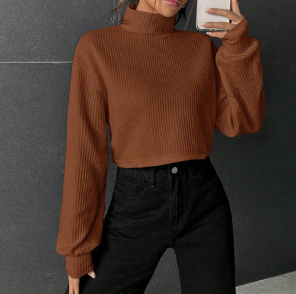 "Pull Col Montant Casual à Manches Longues Uni"
